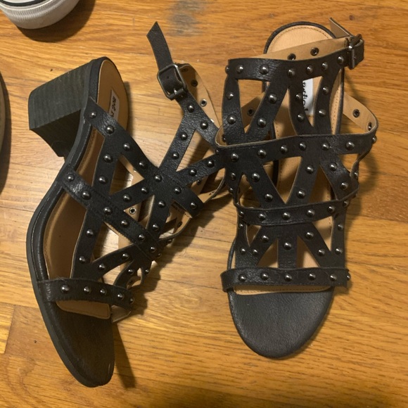 Not Rated! - Picture 1 of 1